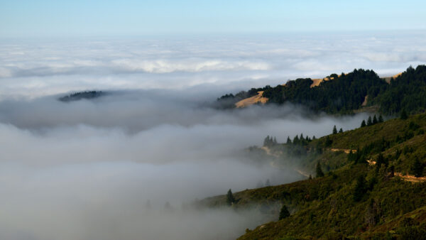 Wallpaper Nature, Hills, Trees, Fog, Clouds, Sky, White, Desktop, Forest, Blue, Mobile