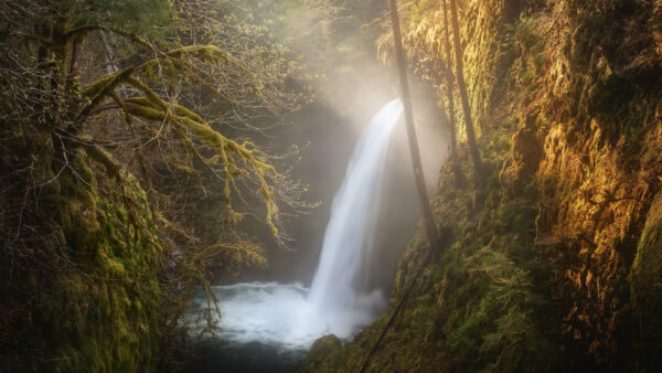 Wallpaper View, Nature, Desktop, Waterfall, Rocks, Between, And, Trees