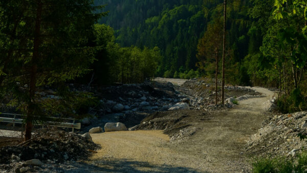 Wallpaper Desktop, Stones, Nature, Mountains, Trees, Mobile, Forest, Green, Path