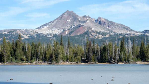 Wallpaper Landscape, Background, Mountains, Blue, Spruce, Nature, Trees, Mobile, View, Sky, Desktop, River