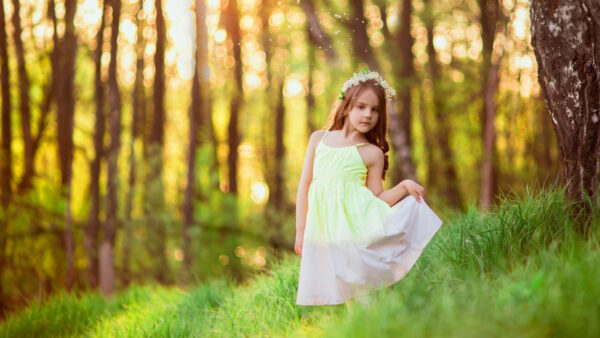 Wallpaper Background, Bokeh, Standing, Little, Dress, Cute, Girl, Forest, Blur, Light, Desktop, Green, Wearing