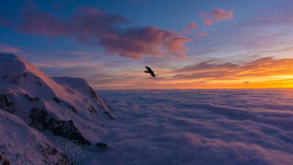 Wallpaper Nature, Mountain, Sky, Blue, Clouds, White, Covered, Bird, Above, Snow, Flying, Under