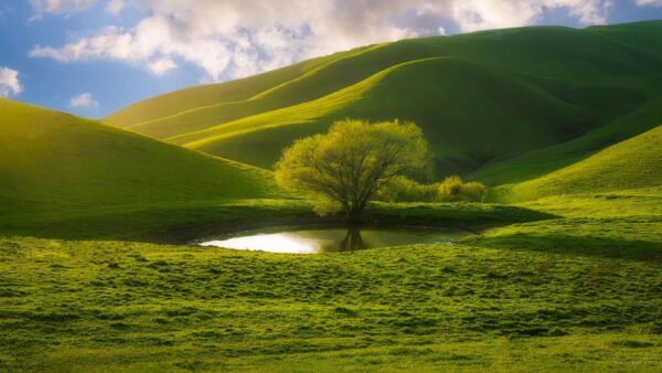 Wallpaper Tree, Slope, The, Background, Fall, Blue, Middle, Greenery, Grass, Green, Lake, Clouds, Sky, White, Mountain, Field