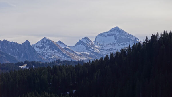 Wallpaper Under, Trees, Sky, Mountains, Green, Mountain, Mobile, Snow, Forest, Landscape, View, Desktop, Rock, Covered