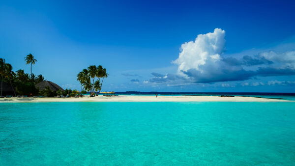 Wallpaper Clouds, Desktop, Sky, Water, View, Palm, Ocean, Blue, Beach, Under, Trees, White, Beautiful, Mobile, Hut