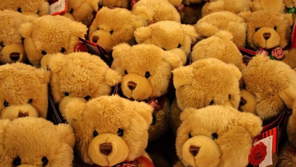 Wallpaper Bear, Teddy, Bears, Brown