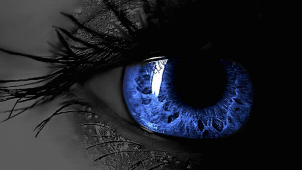 Wallpaper Blue, Closeup, Pupil, View, Eye