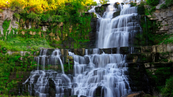 Wallpaper Trees, Plants, Rocks, Nature, Sunbeam, Daytime, Stream, During, From, With, Green, Waterfalls