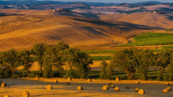 Wallpaper Field, Scenery, Tuscany, Autumn, Trees, Sunbeam, Nature, Hills