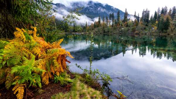 Wallpaper Slope, Lake, Mountain, Fog, With, Trees, Spruce, Reflection, Scenery, Nature, Beautiful