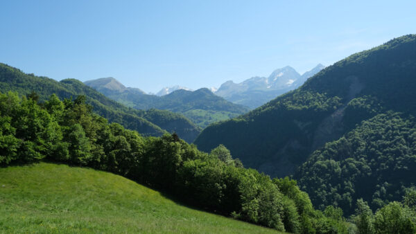 Wallpaper Slope, Under, Trees, Hills, Blue, During, Daytime, Nature, Forest, Mountains, Sky