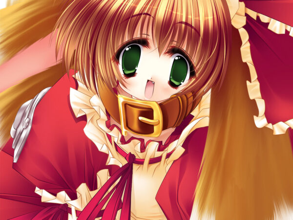 Wallpaper Girls, Anime