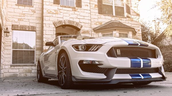 Wallpaper Ford, GT350, Mustang, 2018, Shelby