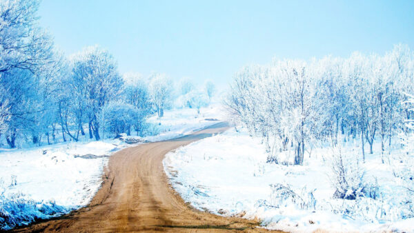 Wallpaper Nature, Covered, Path, Field, Mobile, Desktop, Between, Sand, Snow, Trees