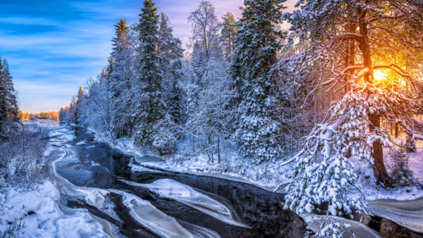 Wallpaper During, Snow, Trees, River, And, Frozen, Nature, Sunrise, Desktop, Forest, Covered