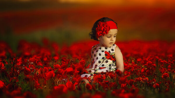 Wallpaper Field, Child, Around, Desktop, Sitting, Flowers, Cute, Depth, Red