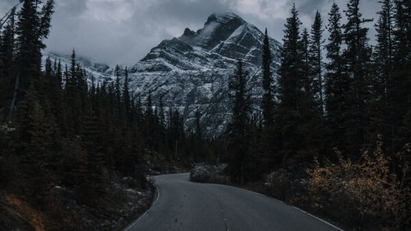 Wallpaper Desktop, Between, Forest, Nature, View, Trees, Mobile, Covered, Snow, Mountains, And, Landscape, Road