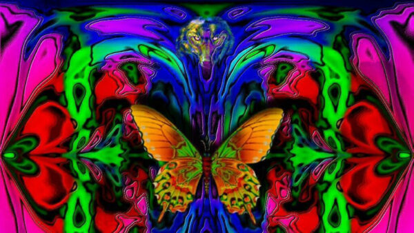 Wallpaper Multicolored, And, Desktop, Fog, Trippy, Face, Butterfly