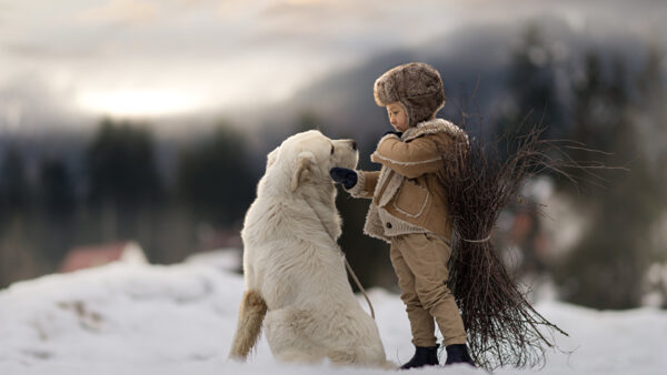 Wallpaper Bokeh, Wearing, Brown, Boy, Standing, Little, Dog, Background, Cute, Blur, With, Dress