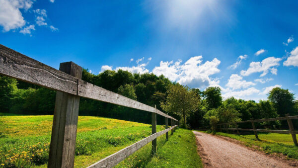 Wallpaper Under, Sky, White, Grass, Fence, Green, Road, Clouds, Sand, Country, Blue, Trees, Between