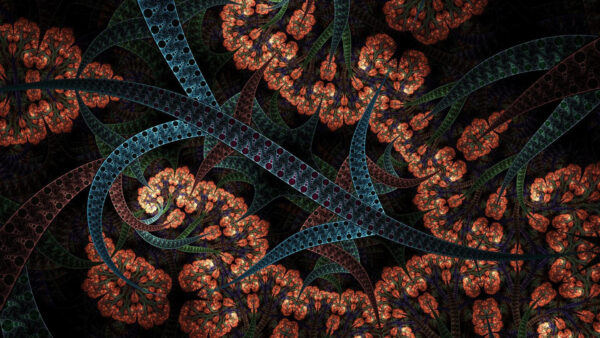 Wallpaper Fractal, Art, Flowers, Abstract, Colorful