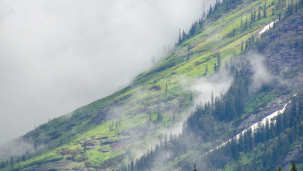 Wallpaper Field, Nature, Fog, Slope, Smoke, Trees, Snow, Green, Mountain, Grass