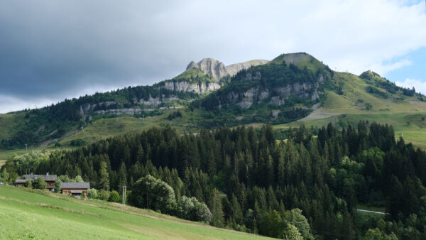 Wallpaper Grass, Green, View, Trees, Slope, Nature, Landscape, Sky, Background, Desktop, Mobile, Blue, Mountains