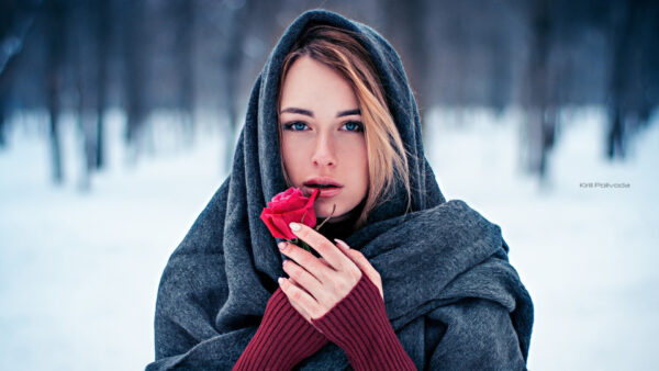 Wallpaper Snow, Girl, Dress, Wearing, Background, Maroon, Blur, Standing, Model, Girls, Field, Black