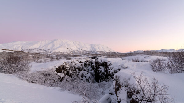 Wallpaper Desktop, Mountains, Mobile, Trees, Blue, Background, Snow, Covered, Sky, Winter