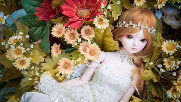 Wallpaper Flowers, Colorful, Doll, Toy, White, With