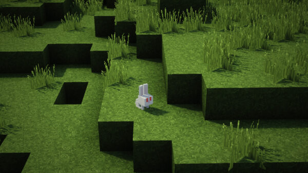 Wallpaper Rabbit, Minecraft