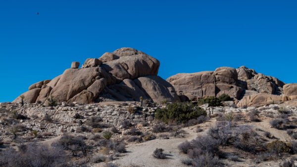 Wallpaper Nature, Desktop, Sky, Background, Rocks, Blue, Dry, Bushes, Cactus, Plants, Stones, Mobile