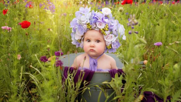 Wallpaper Toddler, Bucket, Inside, Baby, With, Sitting, Colorful, Purple, Field, Headband, Cute, Background, Flowers, White