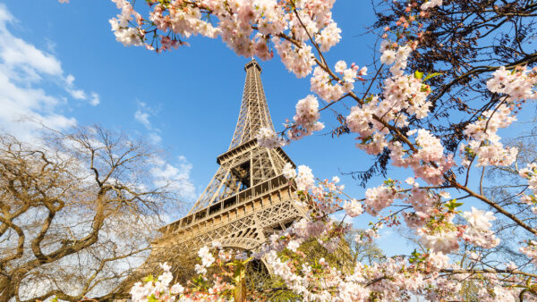 Wallpaper With, Upward, Sky, Desktop, Tower, Flowers, Background, Eiffel, View, Paris, Travel, White, Blue