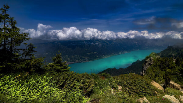 Wallpaper Bernese, Under, Nature, Mountains, Mobile, Alps, Desktop, With, Cloud, Lake, Switzerland