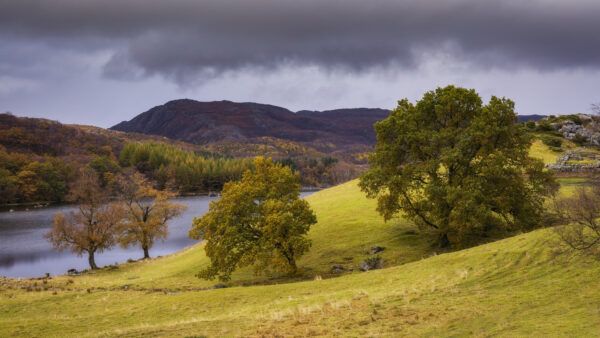 Wallpaper Trees, Green, Field, Mobile, Under, Clouds, Landscape, With, Mountains, Desktop, Dark, Nature, Lake
