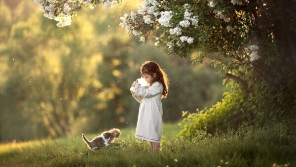 Wallpaper Dress, White, With, Near, Girl, Cute, Little, Kitten, Desktop, Fiield, Grass, Standing