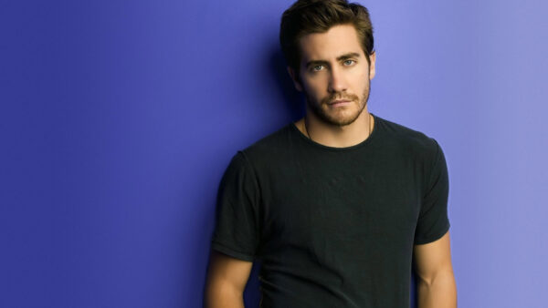 Wallpaper Standing, Black, Purple, Celebrities, Background, Gyllenhaal, Wearing, Dress, Desktop, WALL, Jake