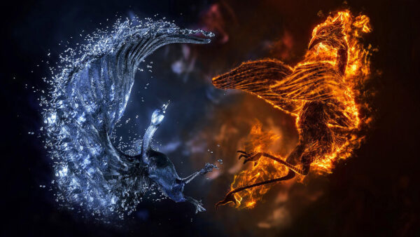 Wallpaper And, Bird, Fire, Phoenix, Ice