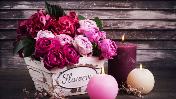 Wallpaper And, Near, Pot, Desktop, White, Purple, Candles, Roses