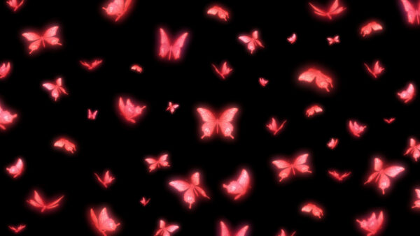 Wallpaper Pink, Black, Butterflies, Desktop, With, Background