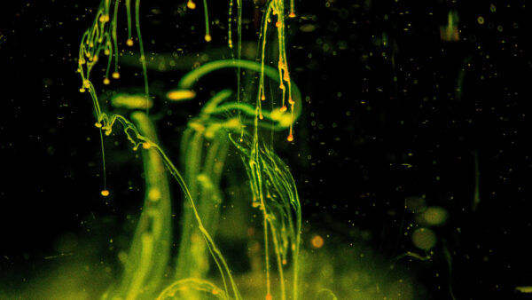 Wallpaper Abstract, Green, Splash, Mobile, Black, Background, Glass, Desktop, Paint