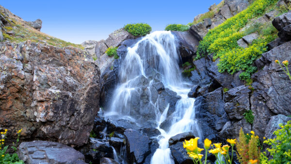 Wallpaper Yellow, Sky, Blue, Plants, Rocks, Mobile, Flowers, Desktop, From, Scenery, Waterfalls, Under