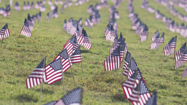 Wallpaper Day, Flag, American, Grass, Desktop, Veterans