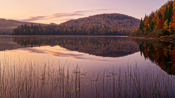 Wallpaper Nature, Reflection, Colorful, Blue, Desktop, Mobile, Trees, River, White, Under, Clouds, Autumn, Sky