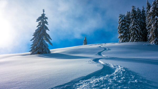 Wallpaper Winter, Beautiful, Field, Clouds, Desktop, Trees, Sky, Frozen, Nature, Snow, Blue, Forest, Mobile, Scenery, White, Background