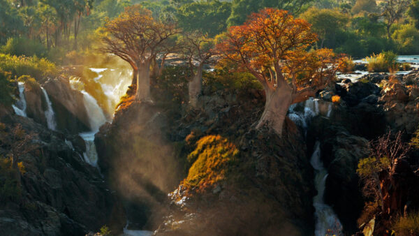 Wallpaper Waterfall, Namibia, Fall, African, Tree, Earth, Rock, Forest, Africa