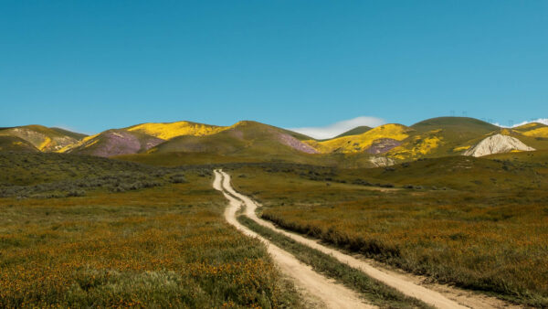 Wallpaper Yellow, Nature, Green, Blue, Background, Sky, Between, Hills, Field, Path, Grass