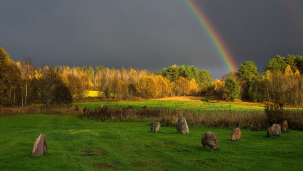 Wallpaper Rainbow, Background, View, Trees, Autumn, And, Green, Colorful, Grass, Field, Beautiful