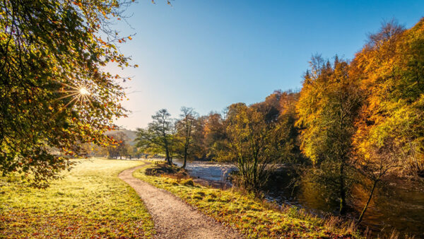 Wallpaper Green, Trees, During, Field, Autumn, Daytime, Leaves, Grass, River, Sunrays, Path